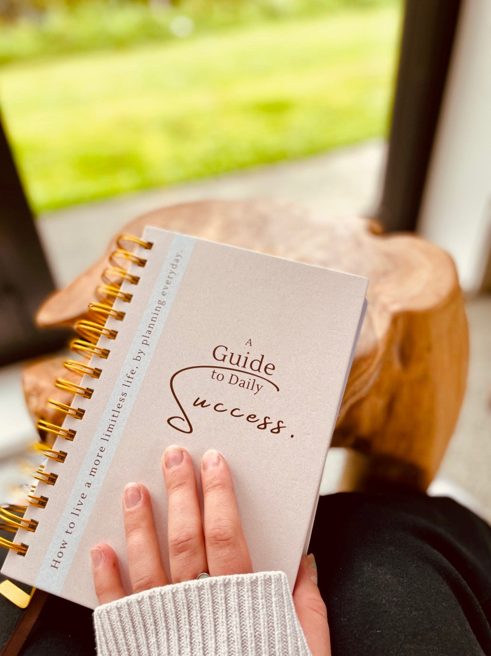 Journal and Diary Session for Success, goal setting and daily planning.